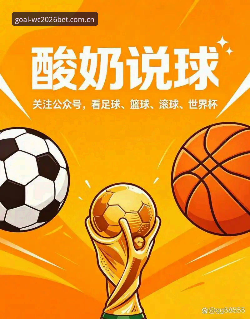 2026世界杯买球投注技巧常见问题深度解析——老用户实战经验分享